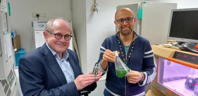Celle fotovoltaiche biologiche affidabili e rinnovabili Celle fotovoltaiche biologiche affidabili e rinnovabili