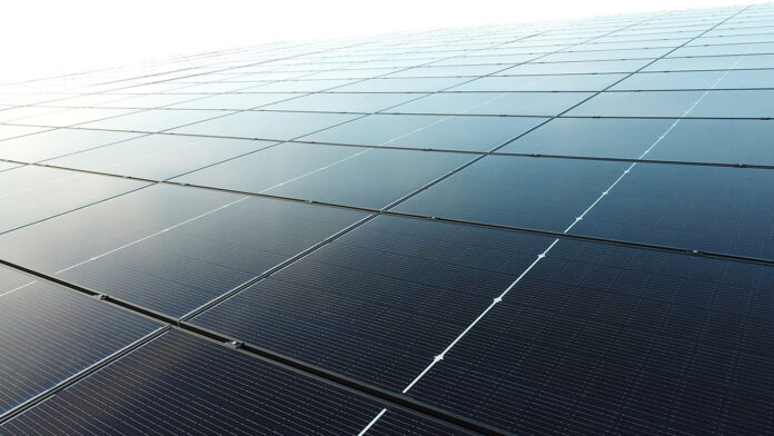 record modulo fotovoltaico risen energy